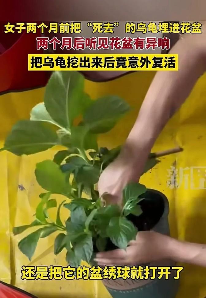 这事儿说出来你可能都不信，失而复得的感觉真挺让人激动的。

有个妹子最近碰到一件