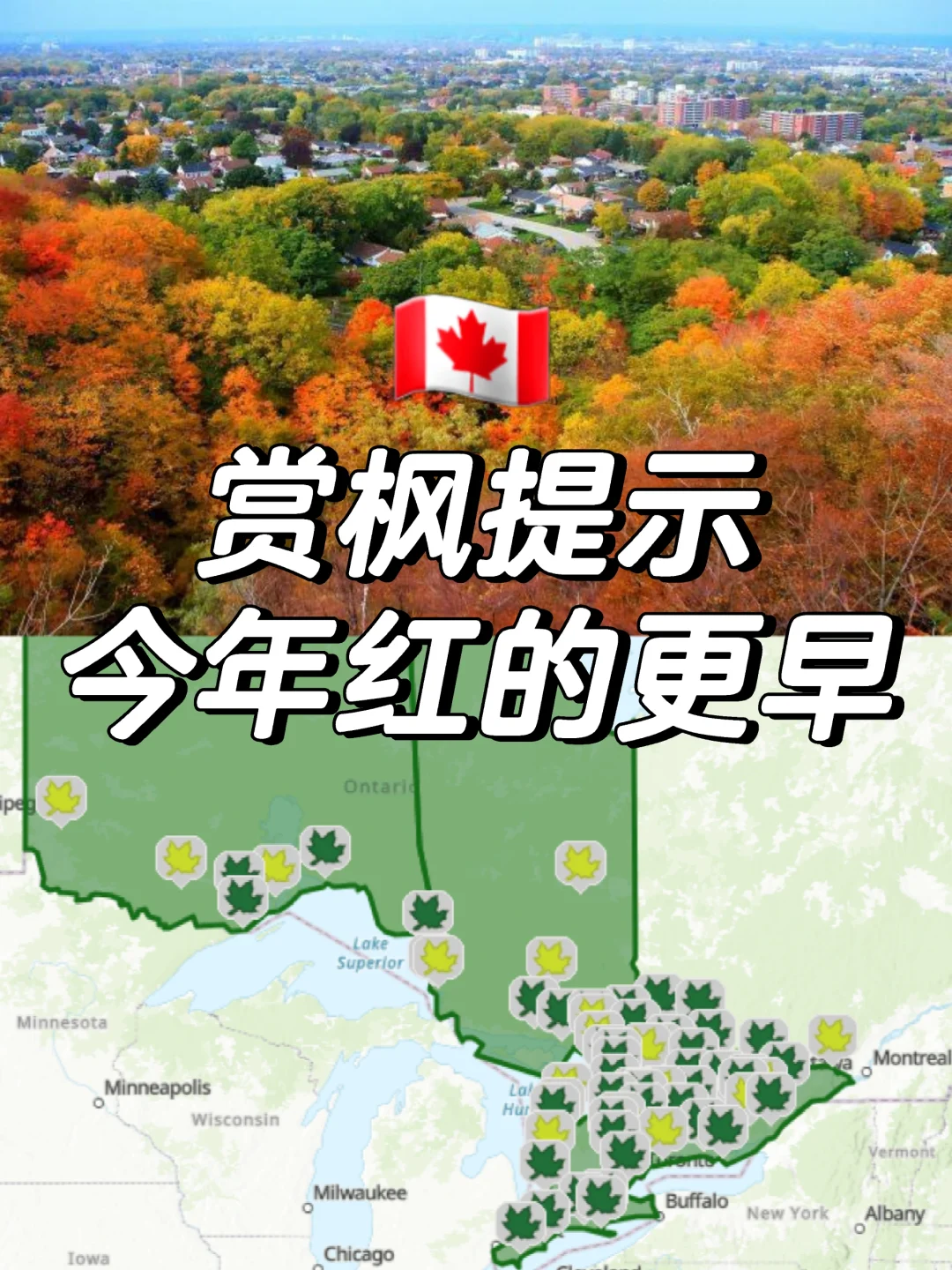 提前规划🇨🇦安省部分公园树叶已变红