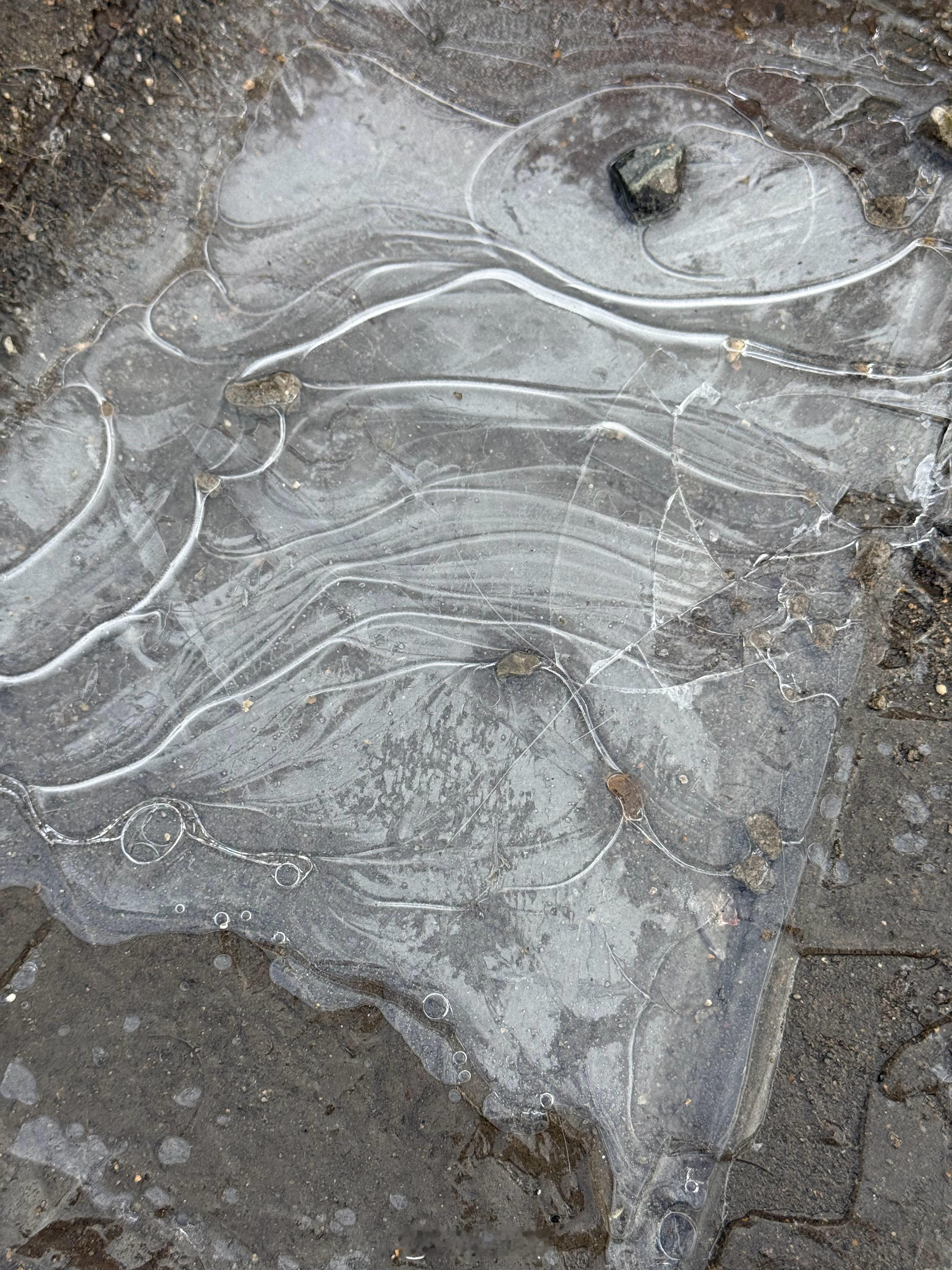 东北小水泡已经结冰了，小时候就喜欢挑这种地方踩，还经常嘣一腿泥，裤脚子全是湿的，