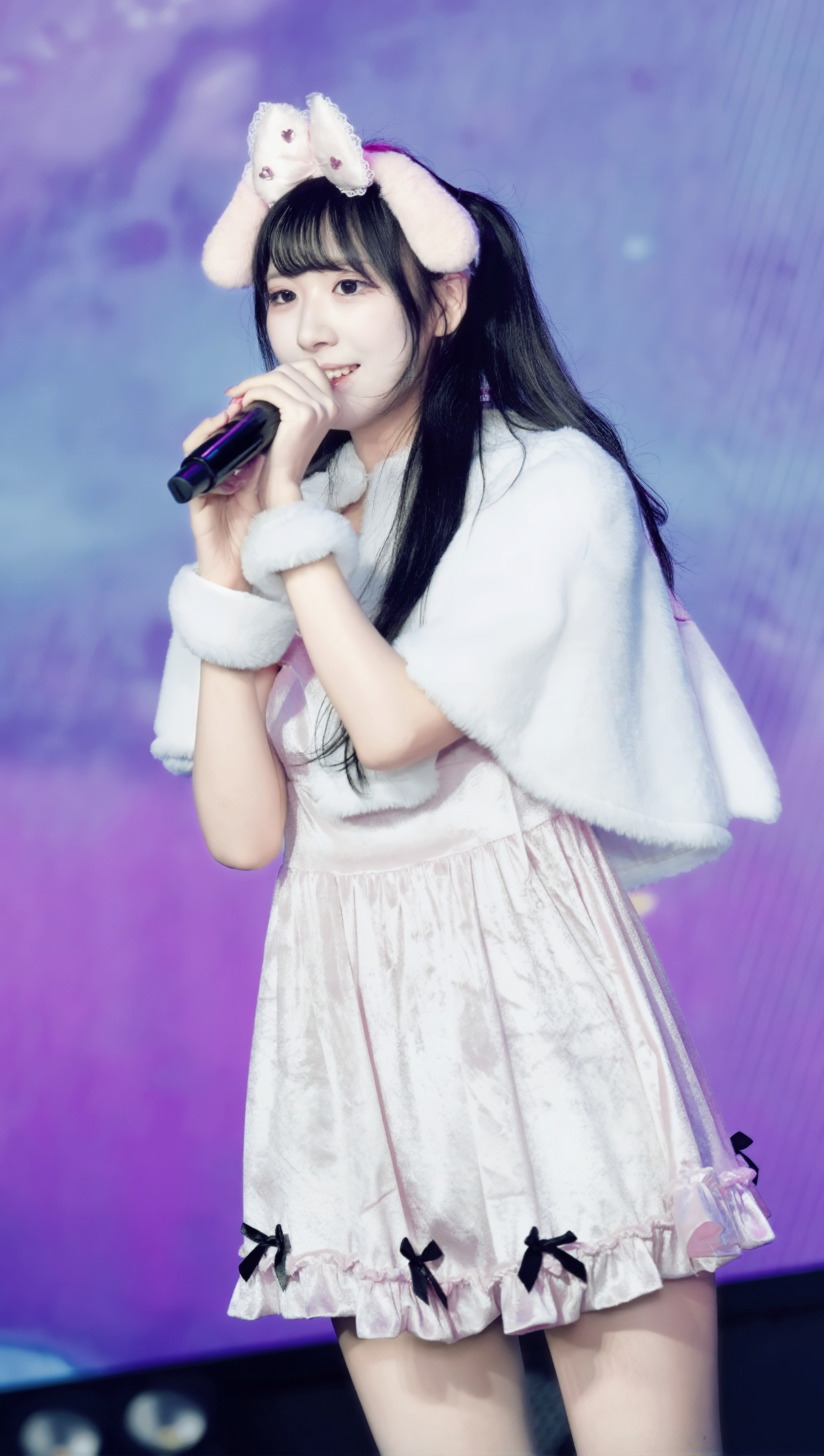 萌小兔