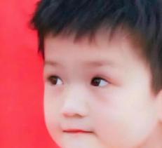 [泣不成声]“樊振东打乒乓球竟是为了上重点小学，这个故事太搞笑了！”这可真是让人