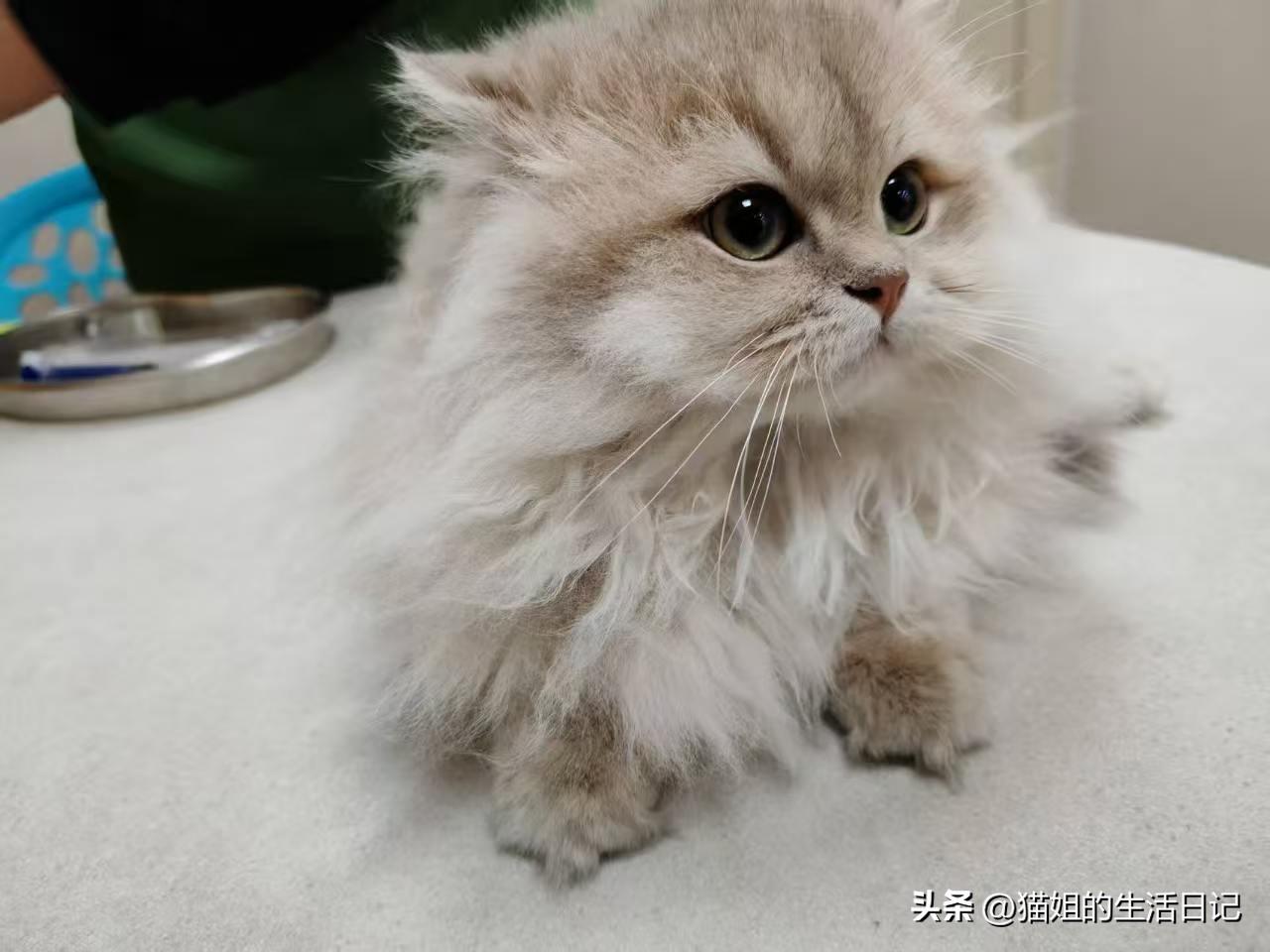 87岁的婆婆，一个人住着200平方的房子，老伴10年前就去了天堂，只有一个女儿，