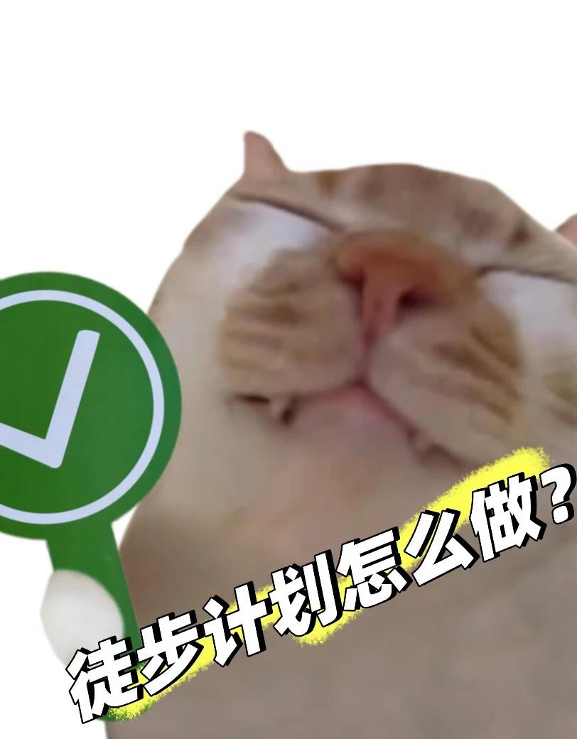 徒步计划到底怎么做？
徒步计划到底怎么规划？
	
1.下载需要徒步的轨迹
2.导