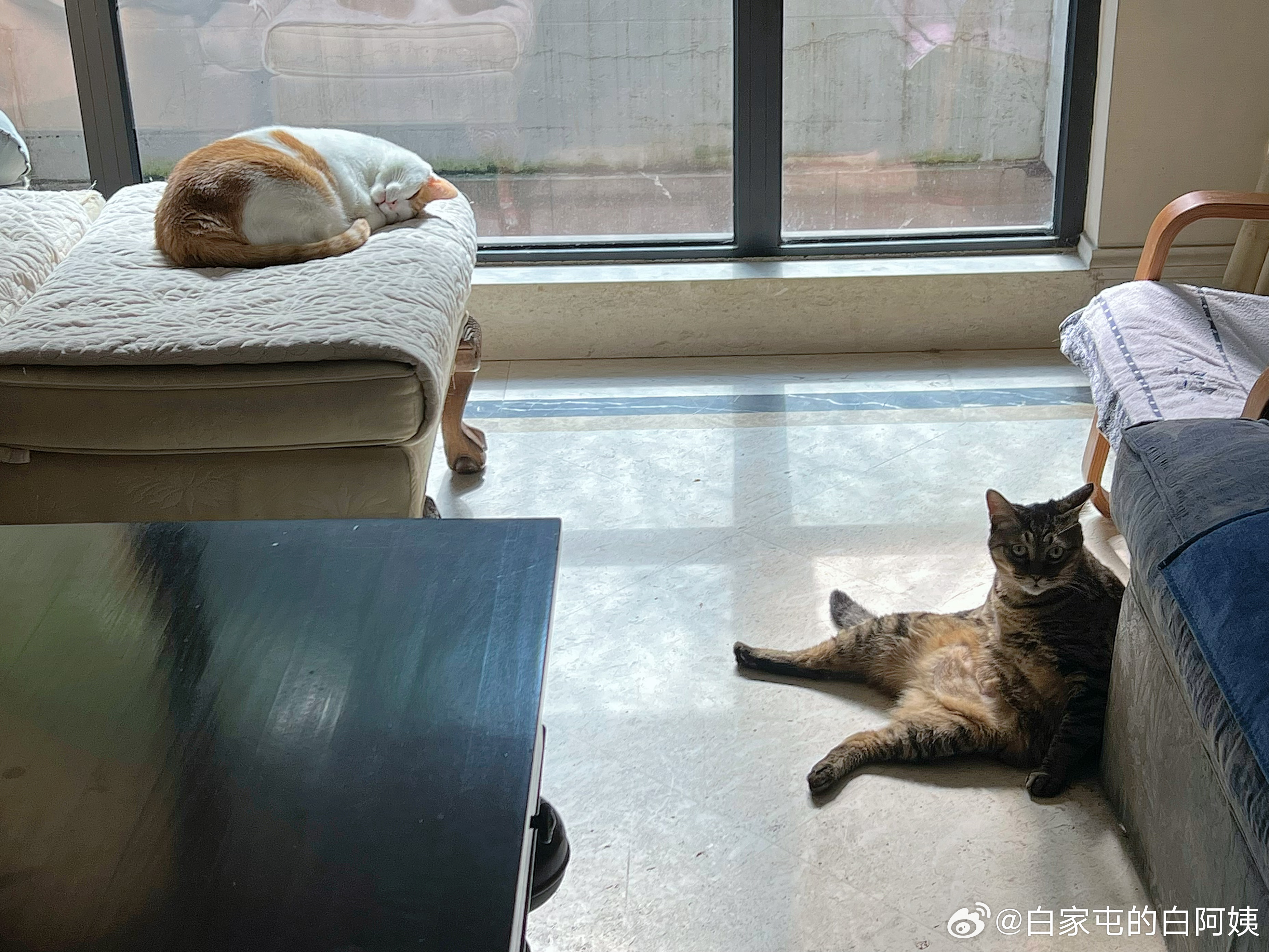 我怎么觉得李葵是看上猴猴了？ ​​​