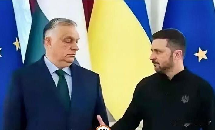 欧尔班这下被怼懵了！泽连斯基在慕尼黑安全会议上没留一点情面，直接拿匈牙利总理的大