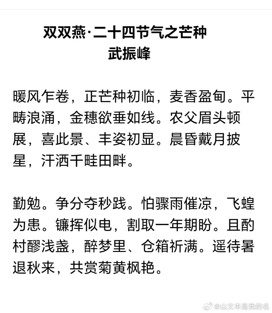         双双燕·二十四节气之芒种                    