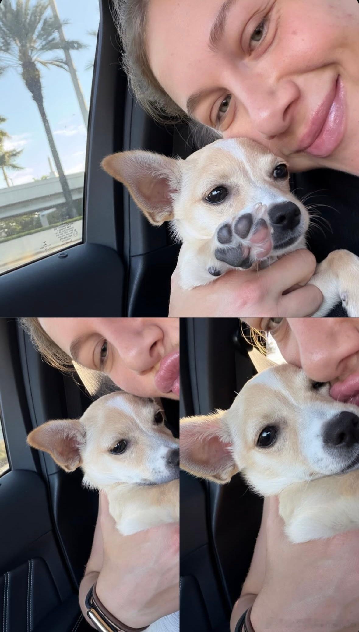 阿尼西莫娃回家！准备备战阳光三月的印第安维尔斯和迈阿密…wta