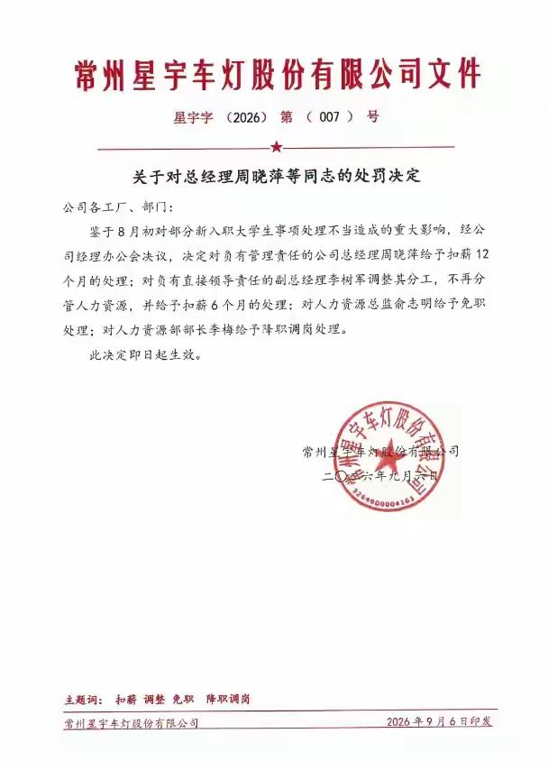这种处罚如果发生在体制内或央国企，那处罚确实挺重的。但是一家私营公司，这种内部处