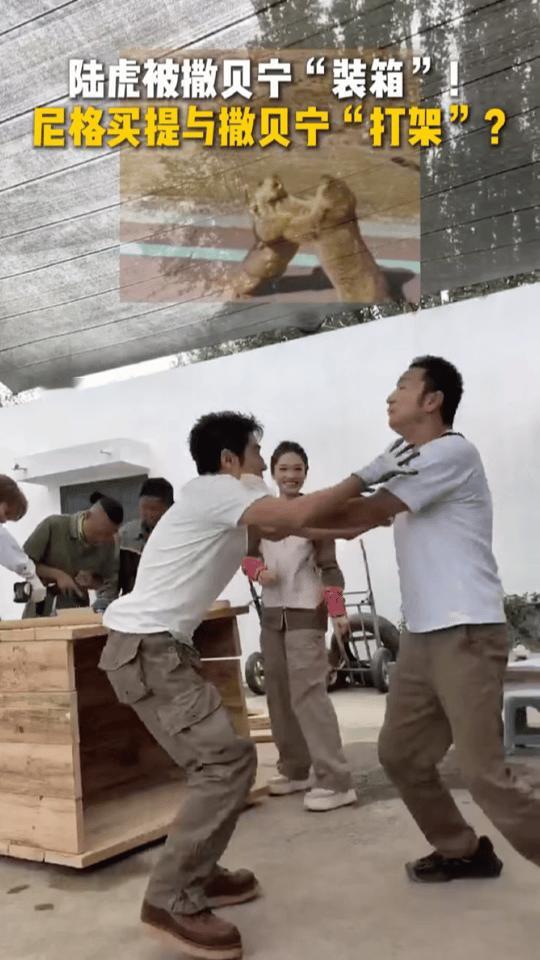 尼格买提撒贝宁节目里打架救命谁还没刷到这段名场面🤣尼格买提和撒贝宁现场开启幼稚