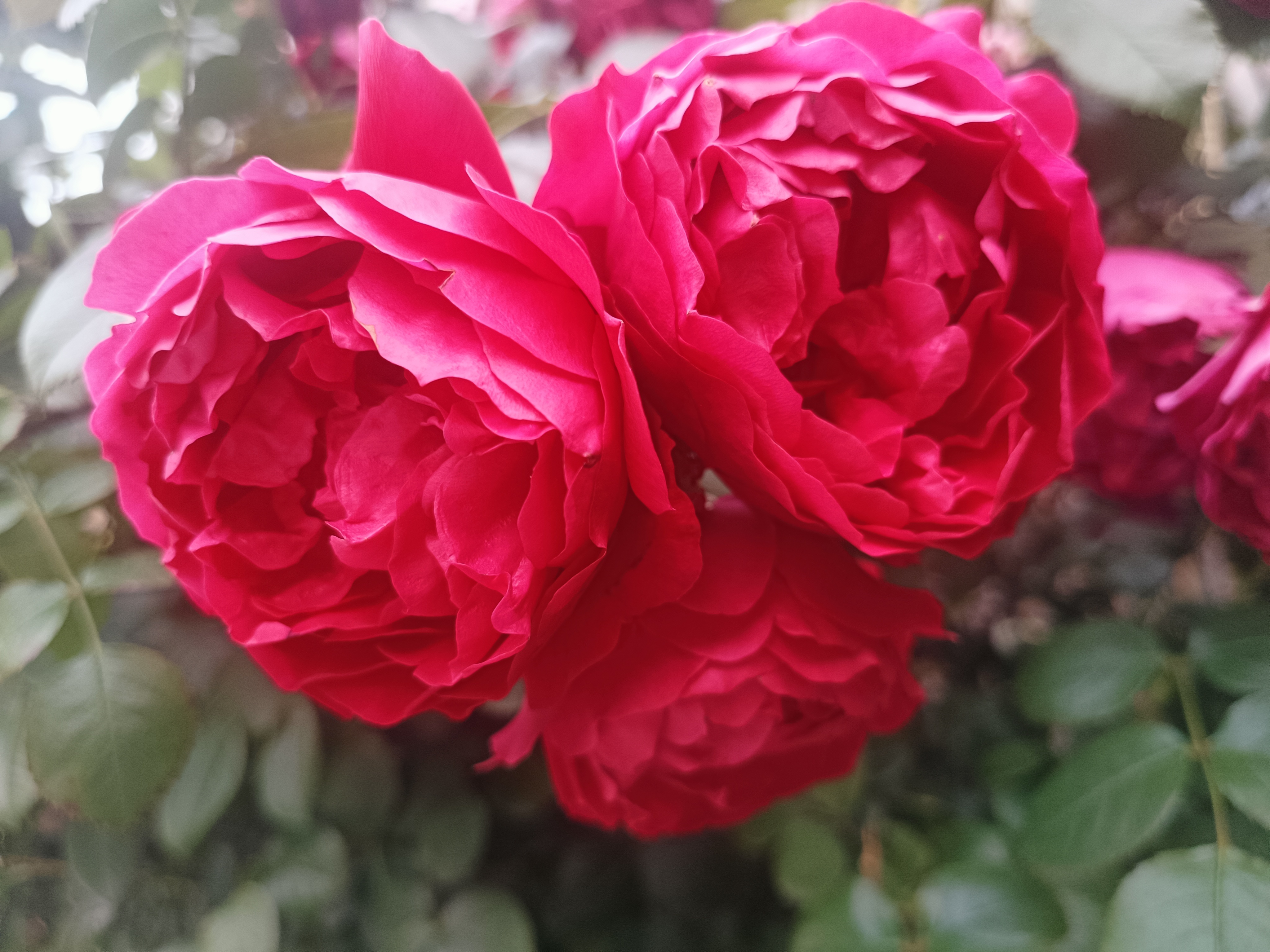 阳光信用💙阳光信用💙每日一善 乐于助人，是心灵的温暖，是生活的甜蜜。伸出援手