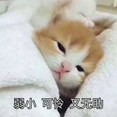烦恼大多来源于不够狠心你处处顾及别人可谁又真正在意过你其实就是好的不够纯粹坏的不