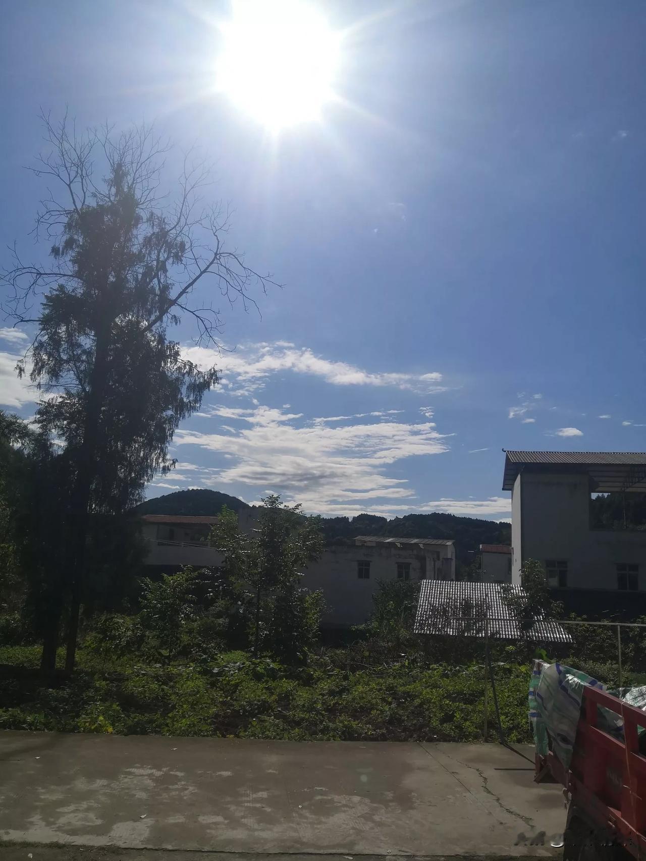 深秋的时刻，太阳炙烤着大地，大门都非常的滚烫，用手一摸都感觉到温度，但室内的温度