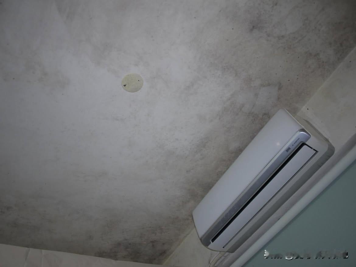 一位越南外劳在社交平台上晒出他在台南的宿舍条件的照片，条件非常恶劣。照片显示，走