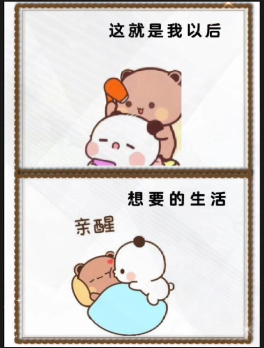 这就是我想要的生活