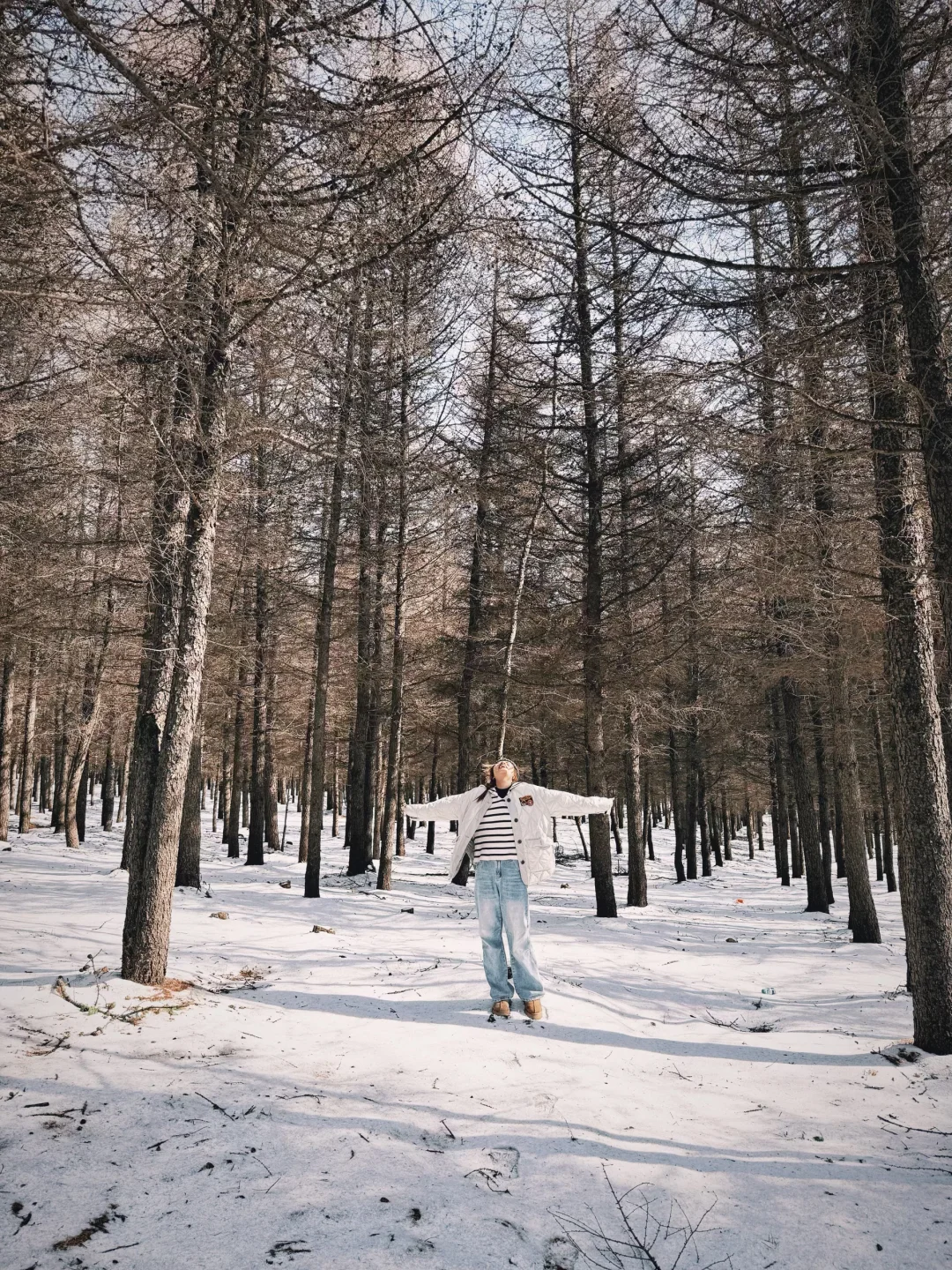北京周末出逃计划（3/100）📍1.5h的雪山森林