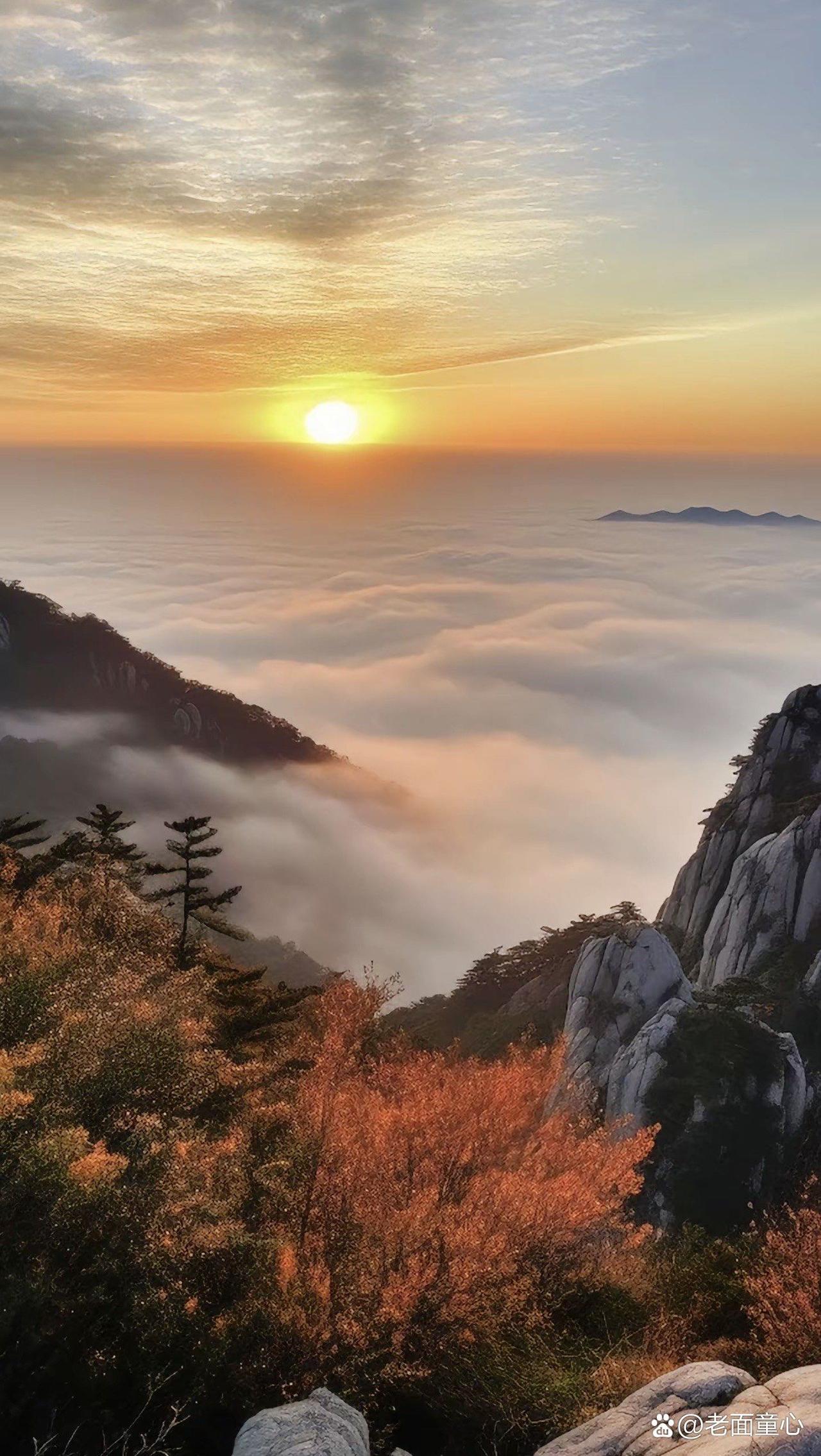 老人言：

1. 四月生的人，吃苦不外露，福气在后头。

2. 五月生的人，性子