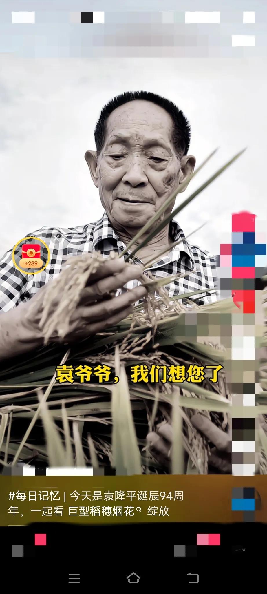 袁隆平爷爷诞辰94周年
全国人民感谢爷爷的大恩大义
让我们十四亿同胞不饿肚子我们