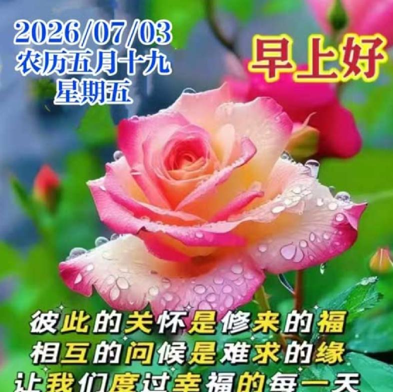 清晨问候喜洋洋，
知心友谊情更长；
不论相隔有多远，
心里始终都挂念；
夏季到来