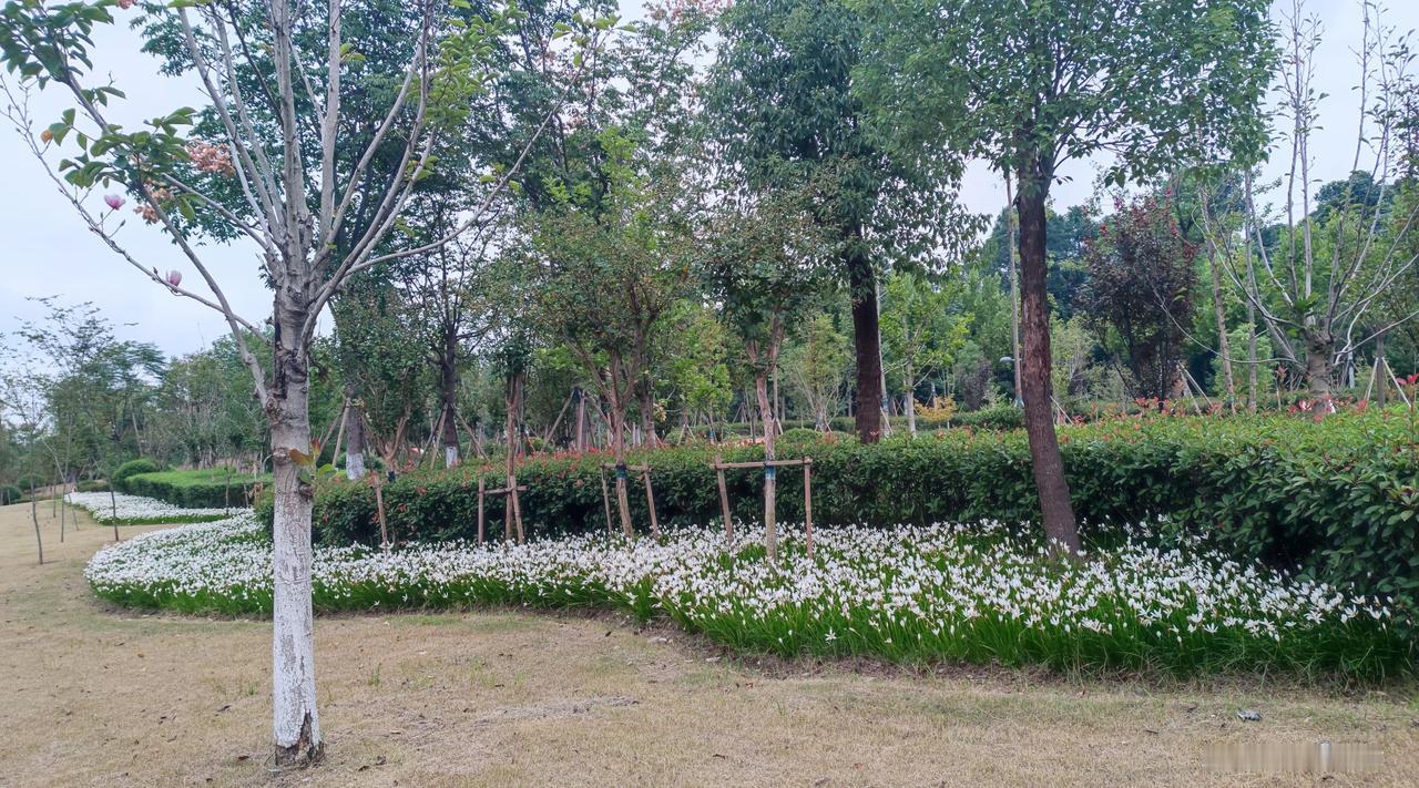 现在好多男生都说女生现实，女孩子现实是否为正常现象？
-------------