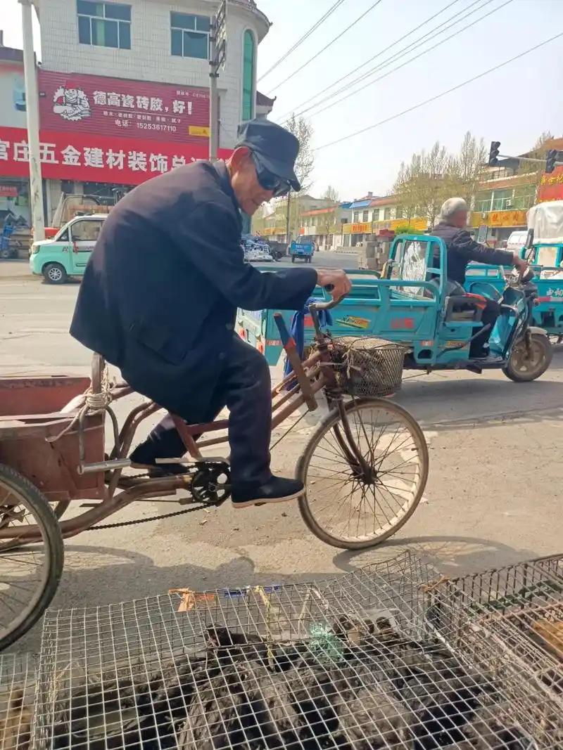 九旬老人为何频频蹬三轮带家人？是隔代亲的温情，还是另有隐情？
近日，多地出现九旬