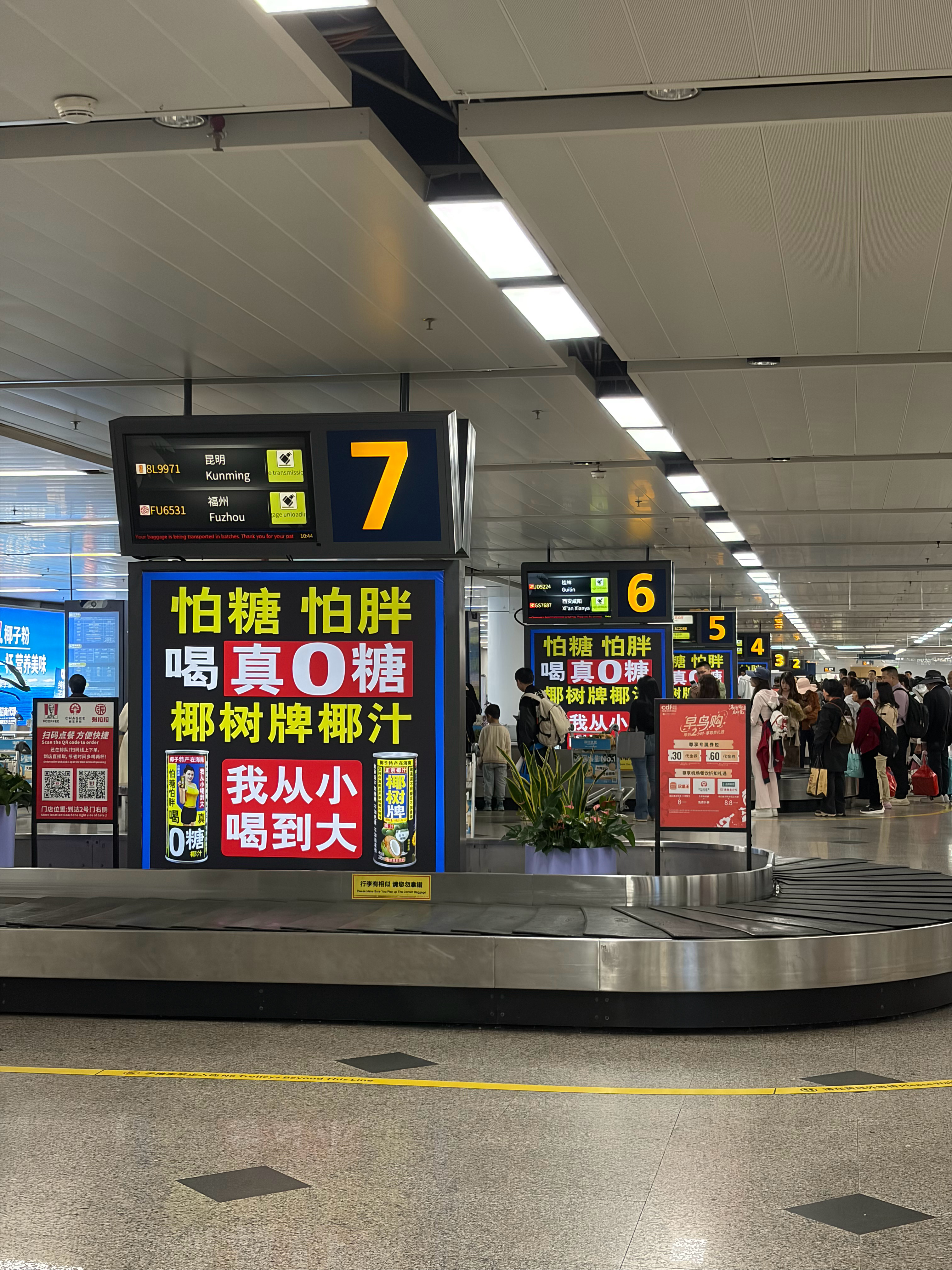 落地海口有一说一椰树我还是真的从小喝到大红烧小狮子头佑酱的日常 海口·海口美兰国