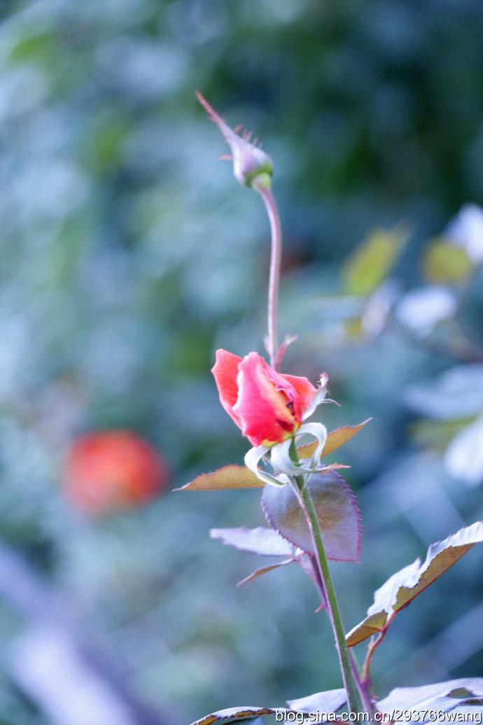 周四盘后传来重磅利好，周五大A能否实现八连阳？
周四盘后发布重磅利好消息：
其一