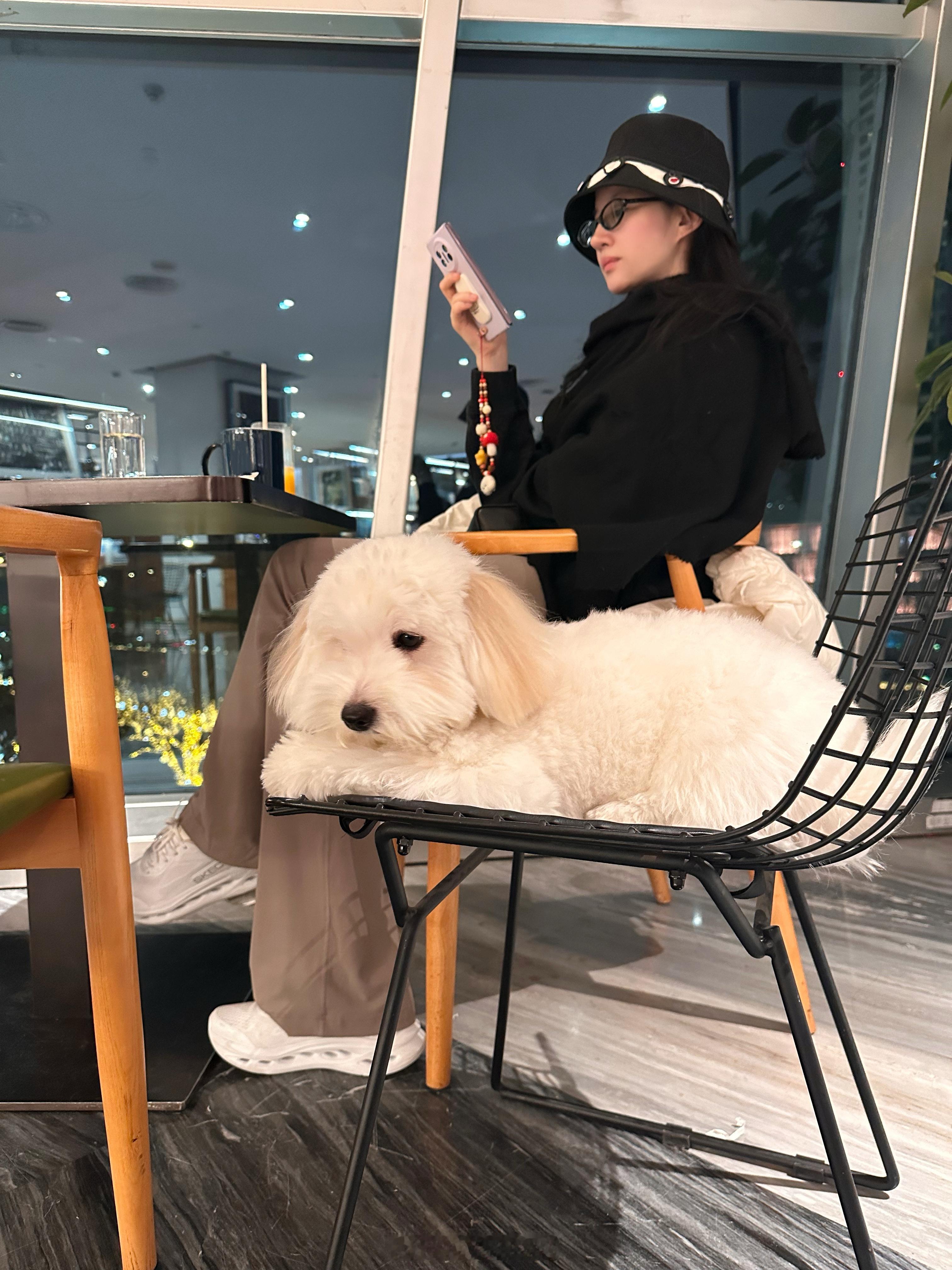 刘亦菲和自己地广合照来了呀！巨星好美！