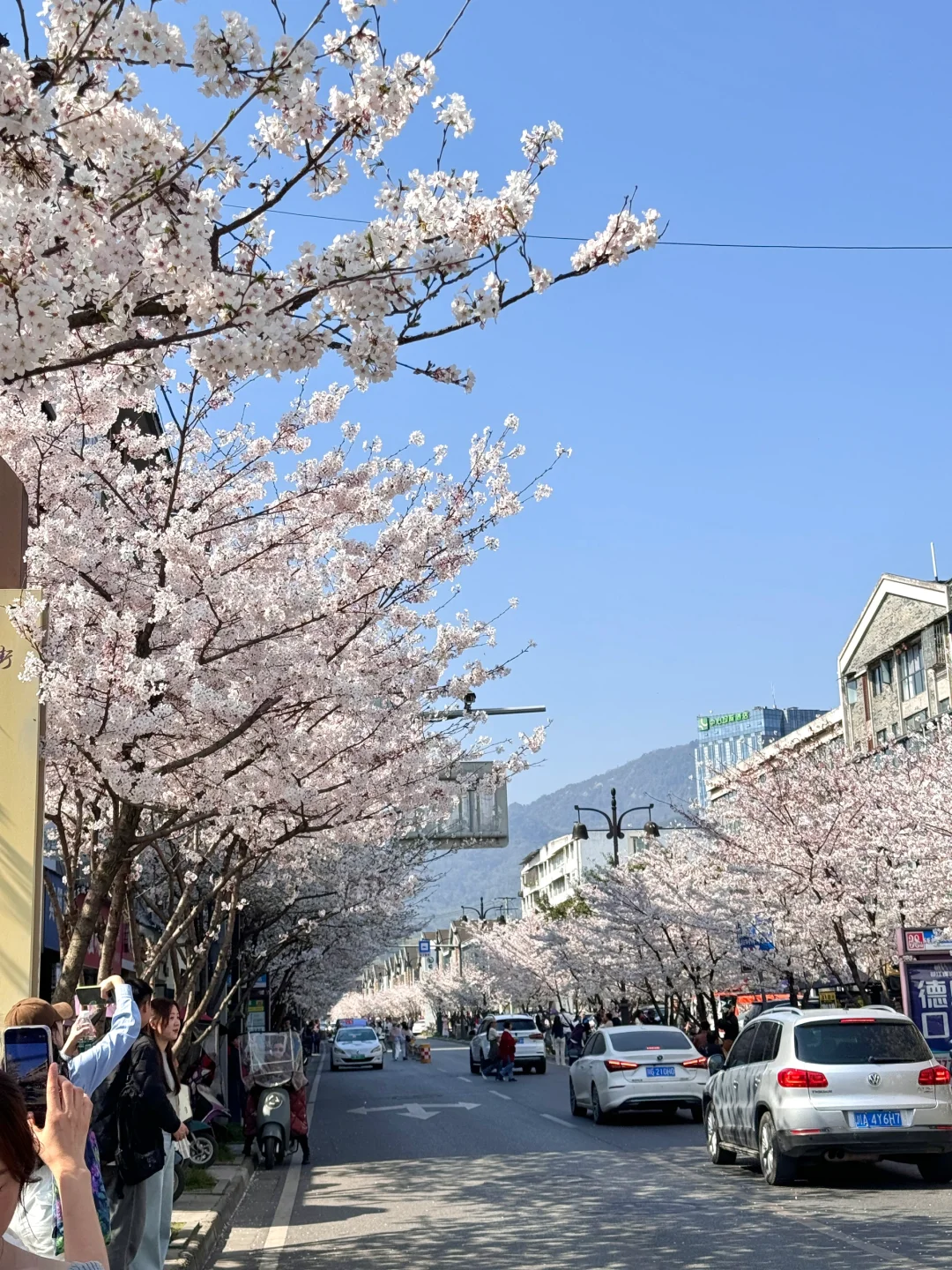 都江堰今天美哭了！！！！！！！