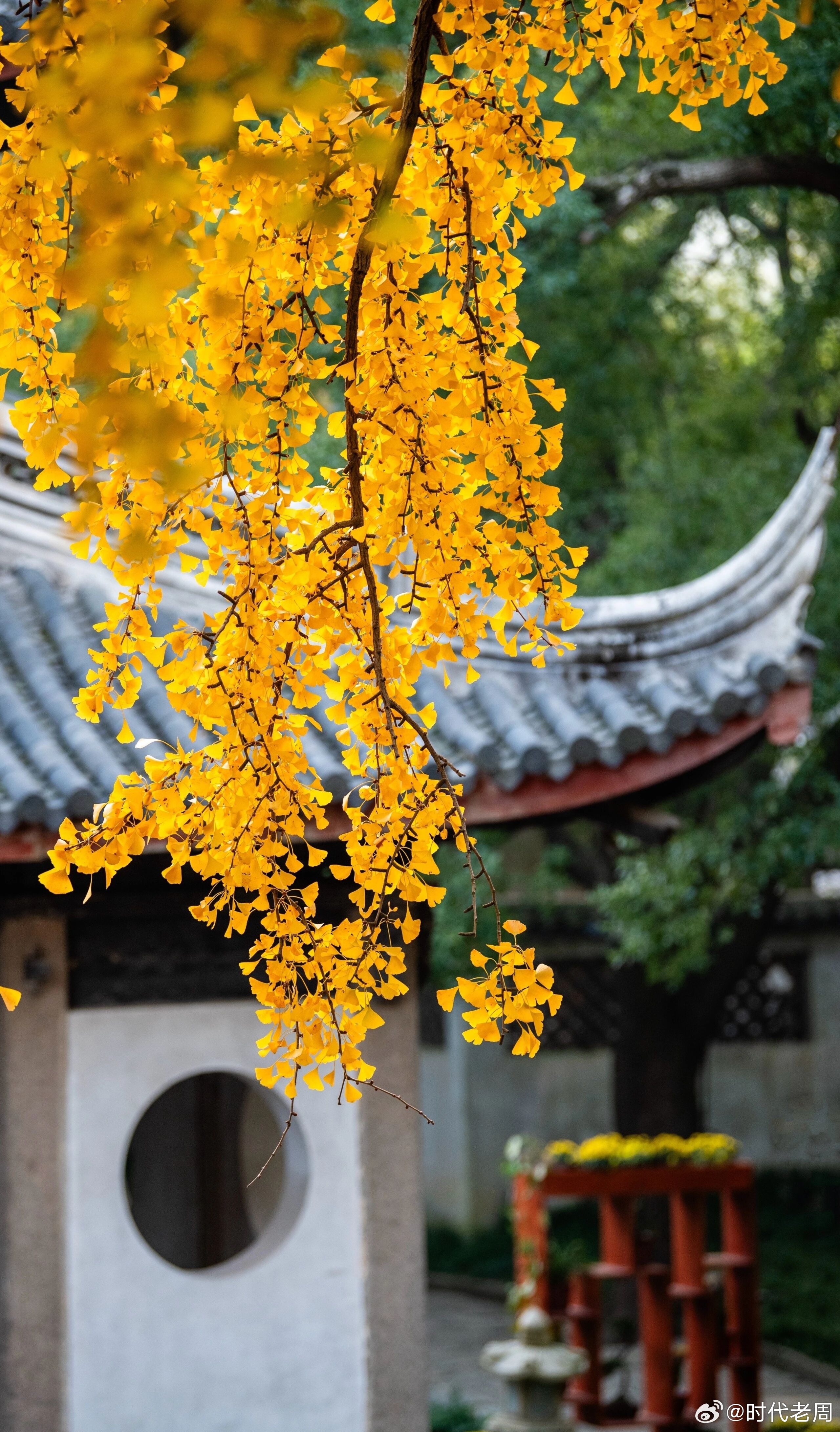 建文帝继位后，力行削藩，燕王朱棣成为重点打击对象。此时，南京街头突然出现疯道士，