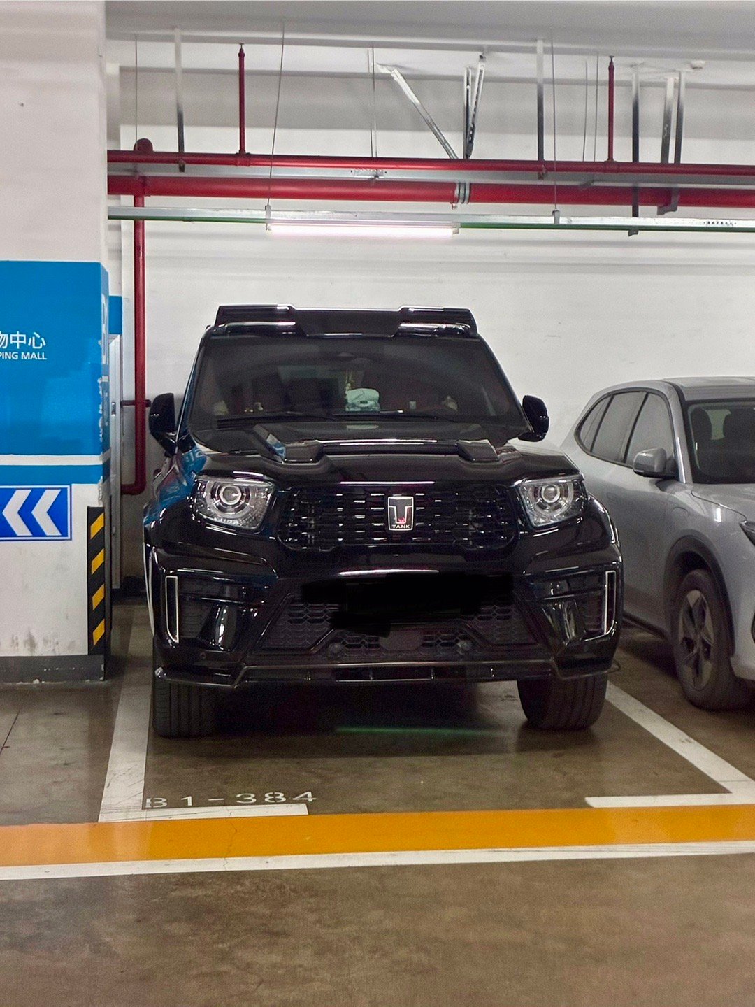 被这台 吓一跳，以为谁家大狮子放在地下车库了真的是太霸气了！ 