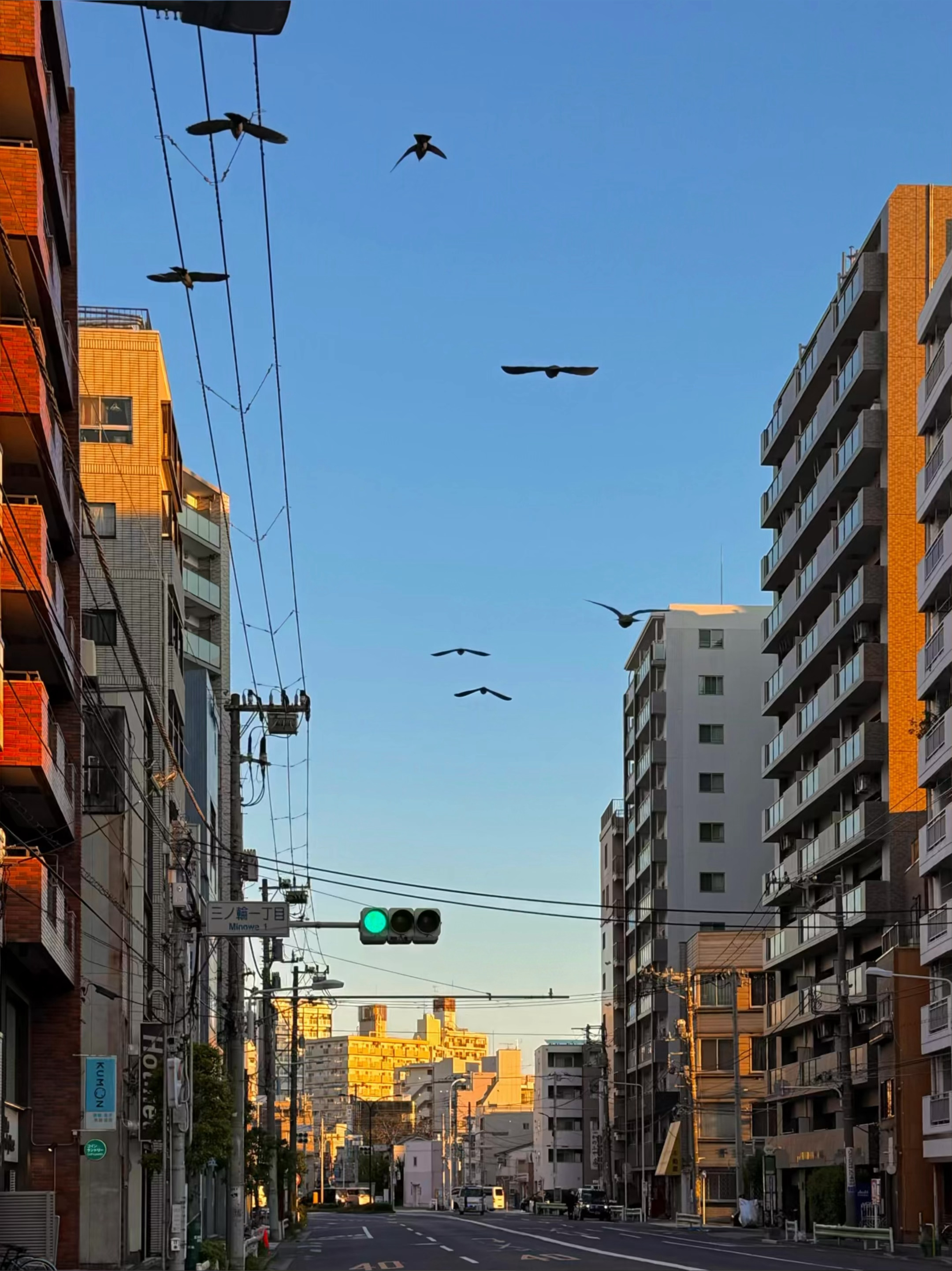 夏日色谱 