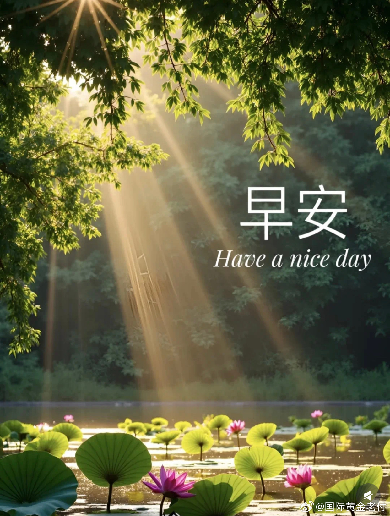 6月23，周二，早早早！黄金昨日尾盘黄金延续下跌后，再度慢趴反弹。不管下跌前回头