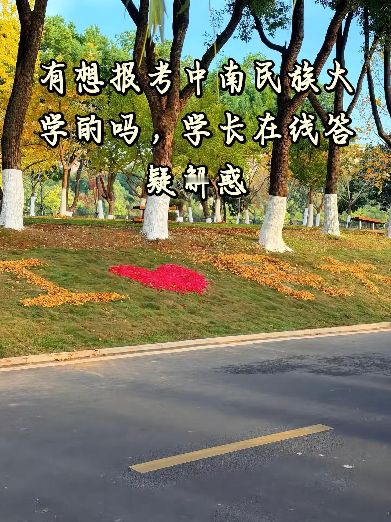 中南民族大学高考成绩答疑解惑