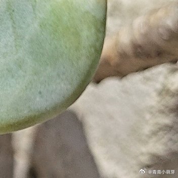 别无休止和烂人烂事纠缠，对于持续消耗你的纷争，该释怀就释怀。往后用心善待自己，把