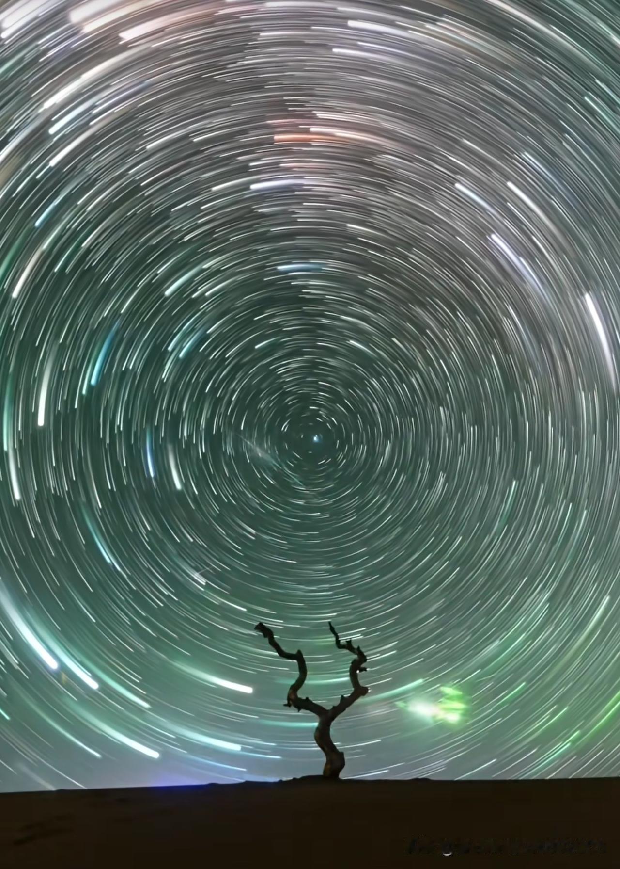 说实话每周去养老中心看母亲都是一种心里凌迟，亲眼看着生命如即将熄灭的火烛般的老人