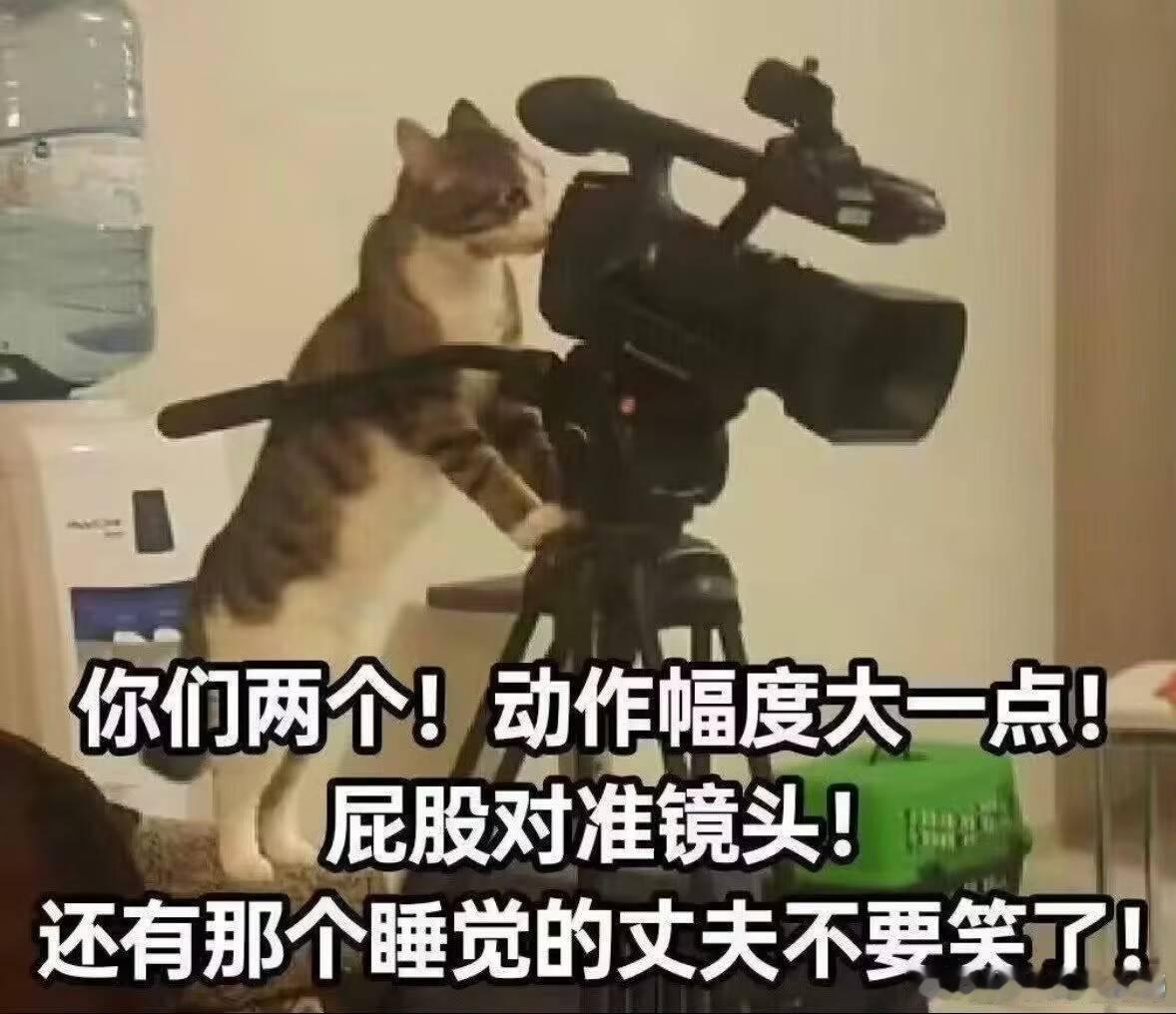 既然反复看曾经看过的书和影视剧能够缓解焦虑，那有没有人能分享自己会反复看的东西，