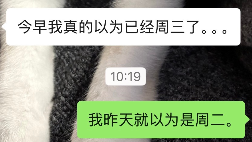 我讨厌调休🤡 ​​​