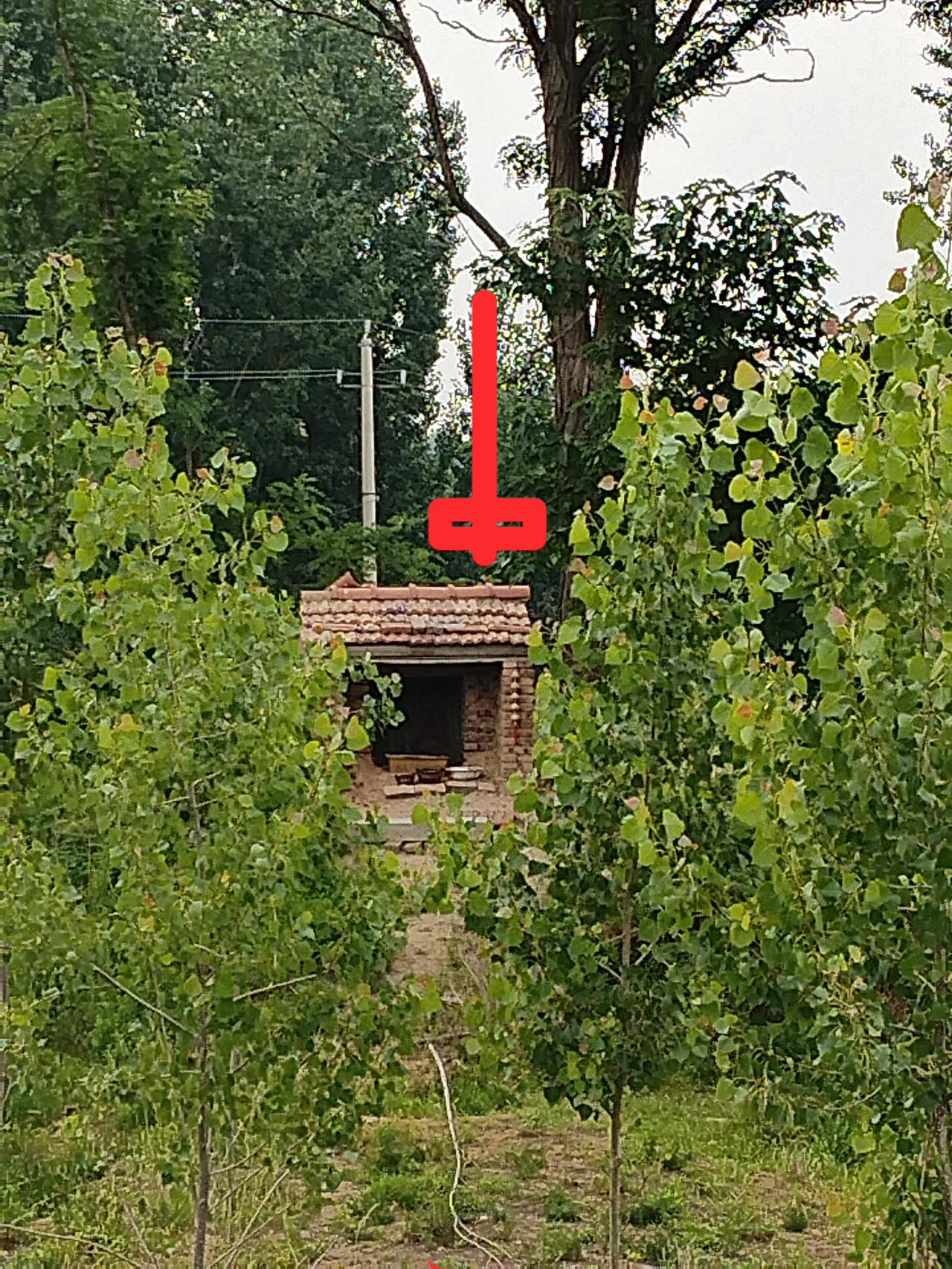 这么小的庙——住着哪位大仙？
那天路过濮阳黄河大堤，忽然看到一座小庙。

黄河大