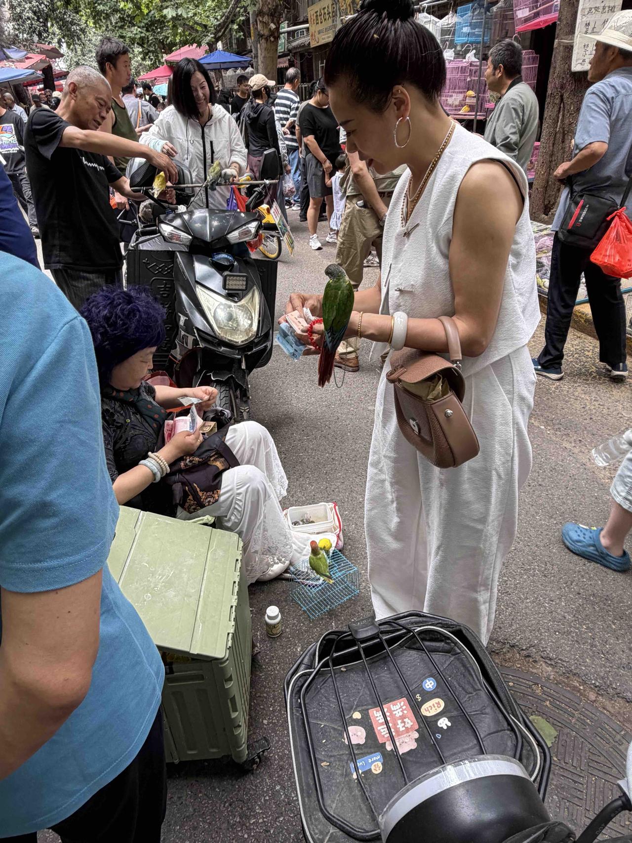 今天上午，我在西安档子上，看到一位美女正在买鹦鹉，就问她：
“美女，你买的这只鹦