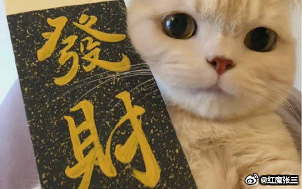 vplus足球狂欢季每日足球推荐竞彩足球 今日公享西甲 01:00       
