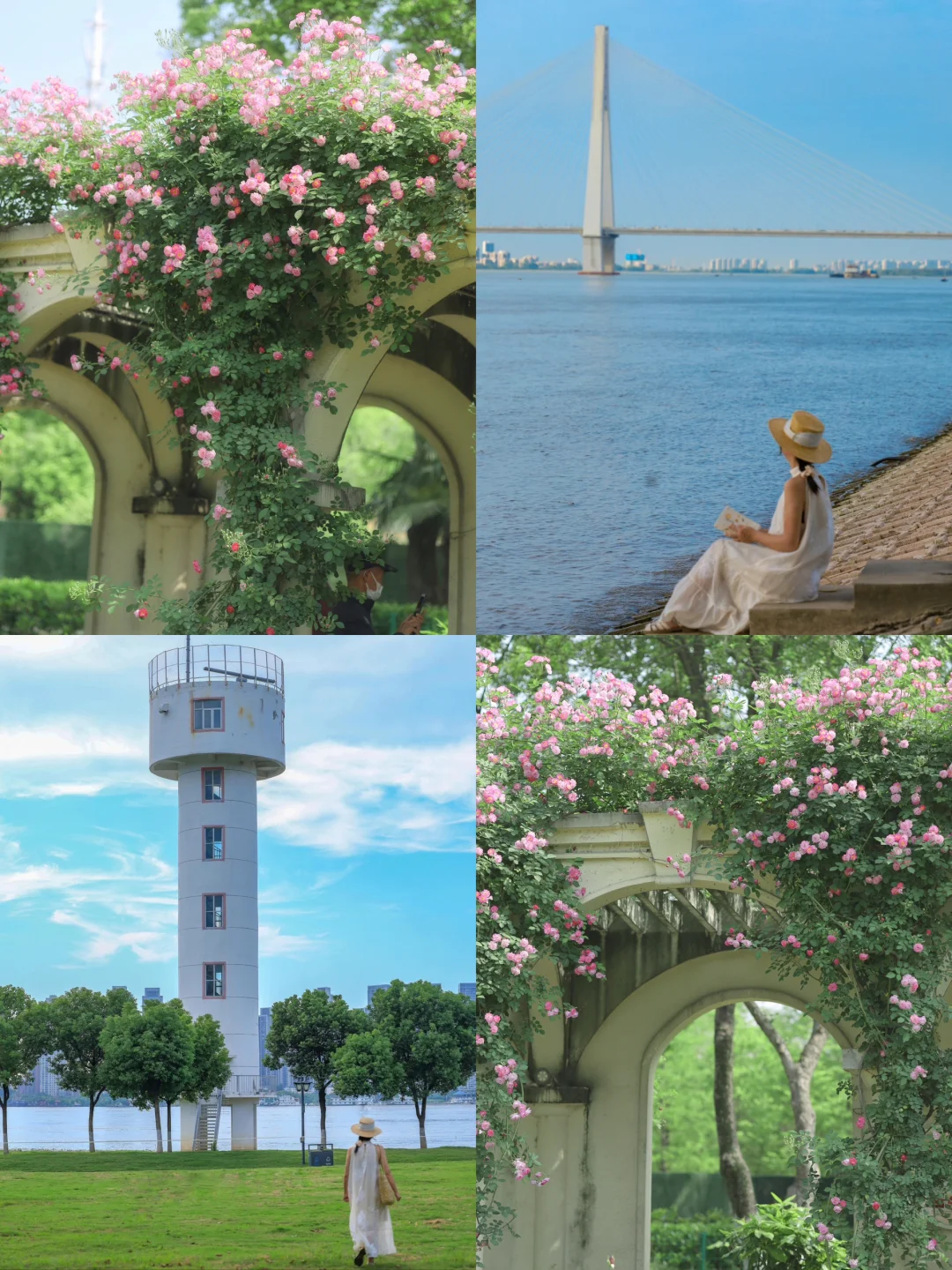 被问爆了❗️武汉被低估的宝藏看海赏花路线