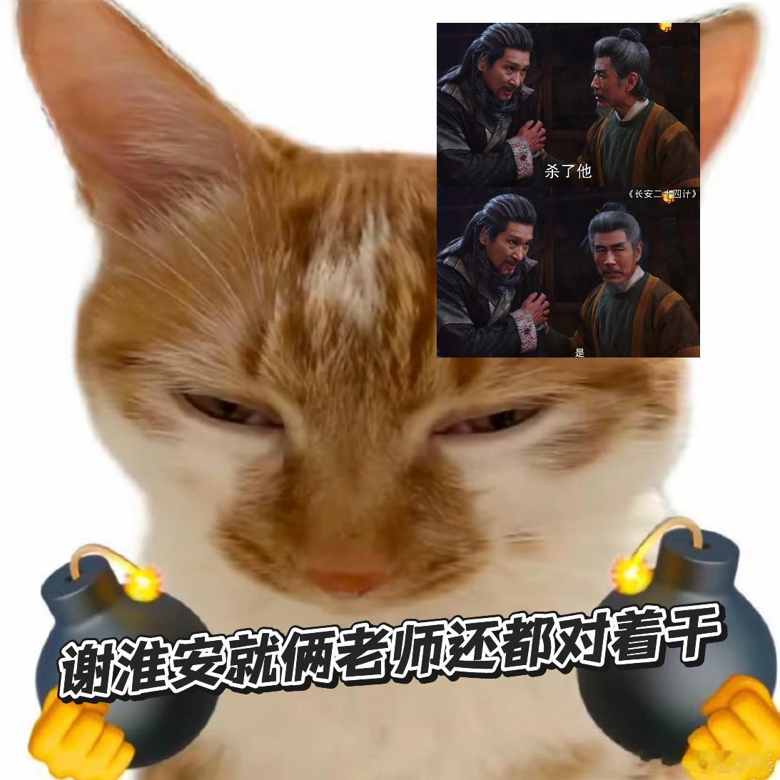 谢淮安 就俩老师还都对着干 谢淮安的人生好抓马！俩老师全是敌国卧底，一个教权谋一