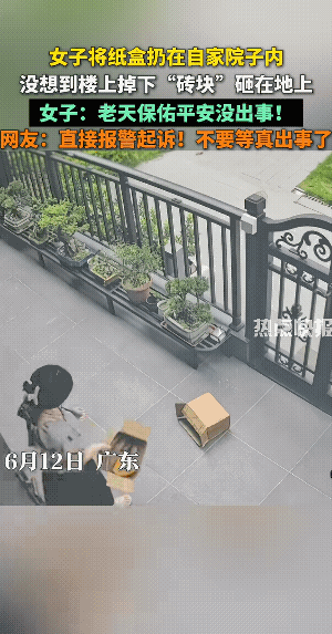 高层买一楼带院子的，一定要做棚子，不做棚子，一楼的小院是非常危险的地方。因为你能