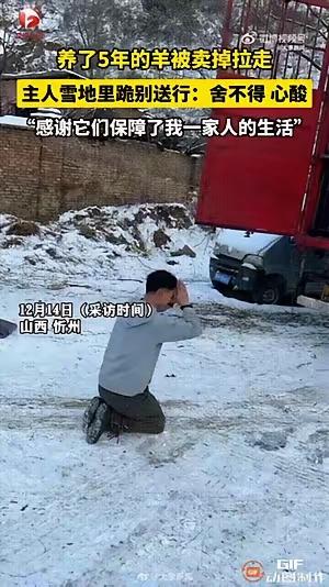 五年来是羊为他撑起了这个家，即如′此说明这五年是靠卖羊增加收入的，那么现在仍然是