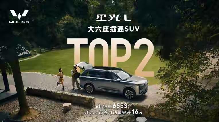 这次，终于可以完成全家人的愿望了！多人口家庭选车真的难，直到看见五菱星光L才发现