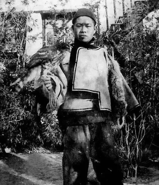 王世襄那会儿可是把整个北京都走了个遍，养鸽子、驯鹰，还会摔跤，活得那叫一个不拘一