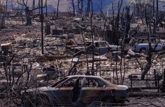 玩忽职守！美国记者怒斥夏威夷电力公司，斥责该公司是罪魁祸首。
 
夏威夷的野火近