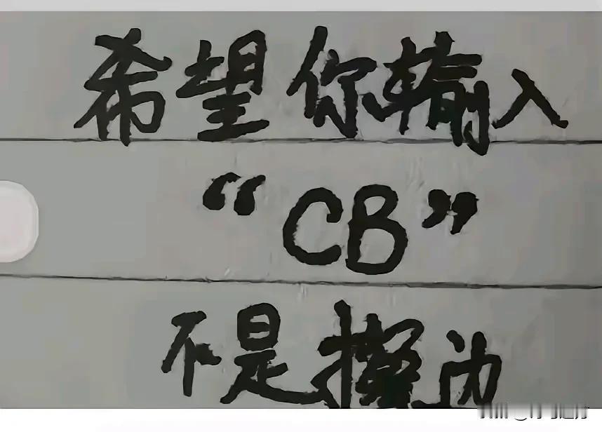 当你输入这个，会显示什么。。？