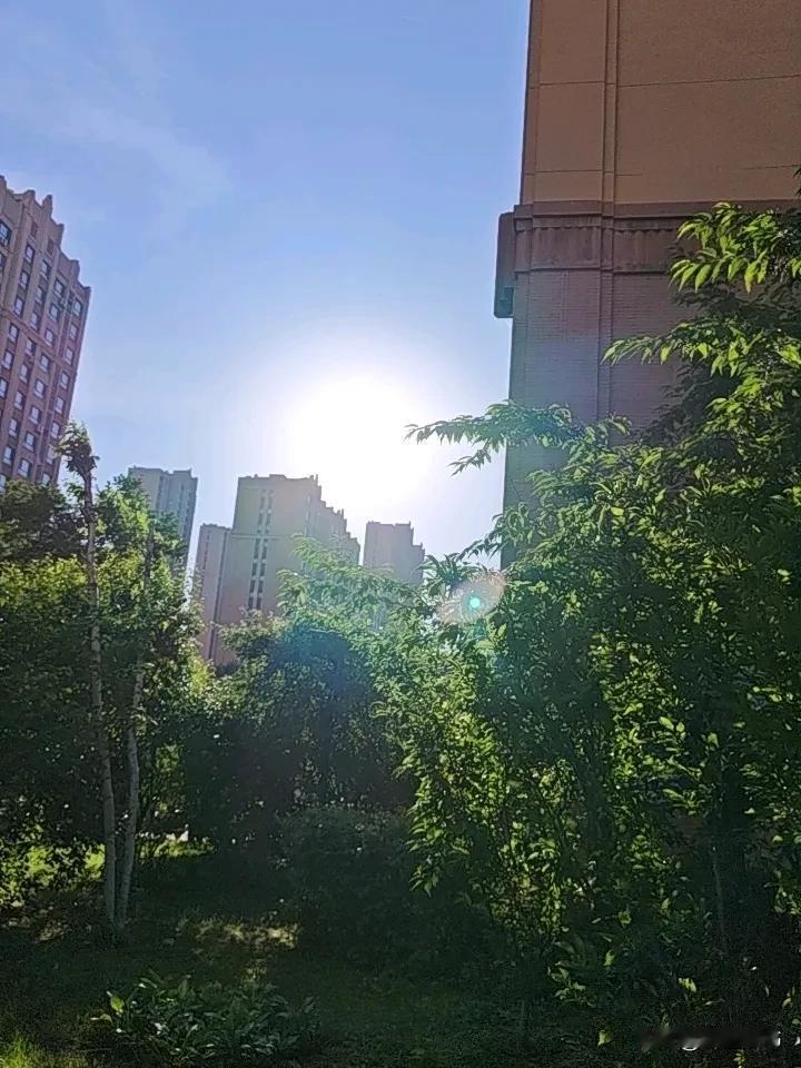 别用一时的情绪，
去判决一生的关系。
人在心烦冲动时，
脱口而出的狠话从无分寸，