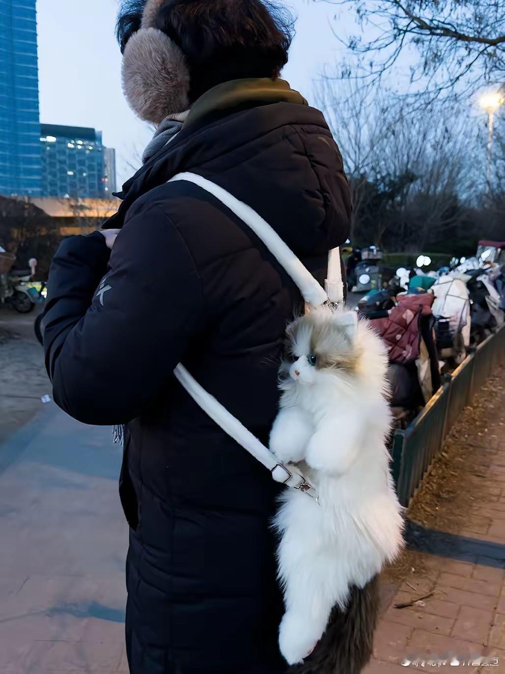 这个人背的是一只活猫啊，还是一个装饰物啊？不管是一个活猫也好，还是一个装饰物也好